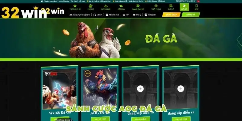 AOG Đá Gà