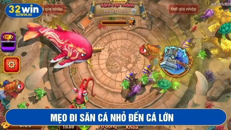 Tập đi săn từ những con cá nhỏ đến lớn