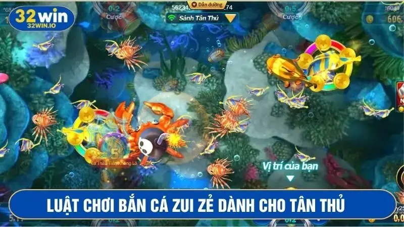 Tham gia bắn cá zui zẻ cần nắm rõ quy định của trò chơi